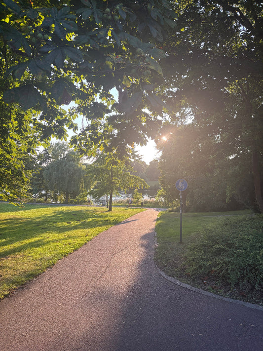 Dealing with Arthrosis and Preventing Cartilage Damage: Lessons from a Runner’s Journey